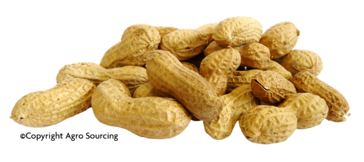 Agrosourcing -- Arachides bio en coque Vrac (origine Egypte) - 2 x 2,5 kg