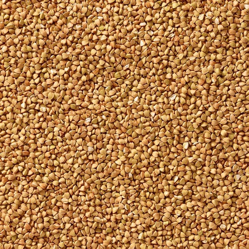 Atelier Sarrasin -- Sarrasin décortiqué bio Vrac (origine France)