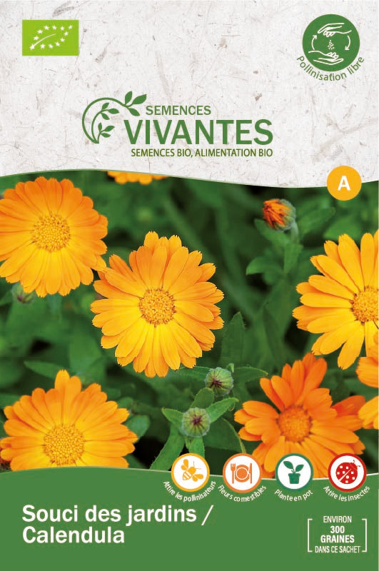 Semences Vivantes -- Souci des jardins / calendula bio demeter - Sachet de 300 graines