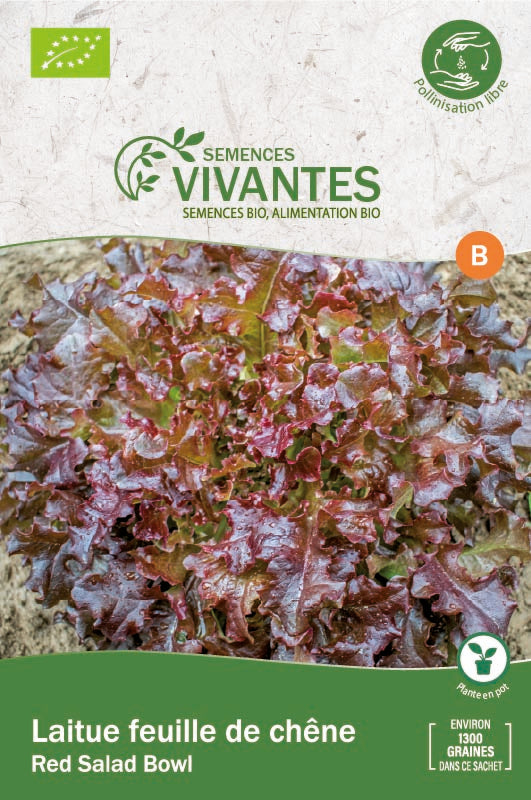 Semences Vivantes -- Laitue feuille de chêne red salad bowl bio - Sachet de 1300 graines