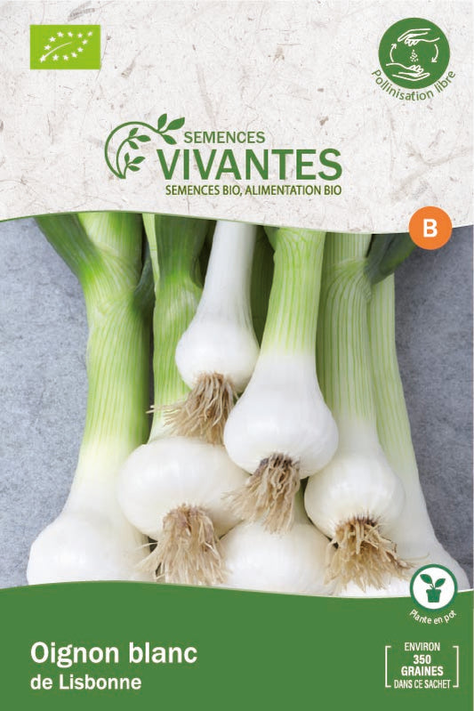 Semences Vivantes -- Oignon blanc de lisbonne bio - Sachet de 350 graines