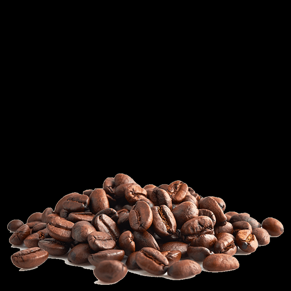 Les Cafés Dagobert -- Mon p'tit bio 100% arabica bio - grains Vrac - 5 kg