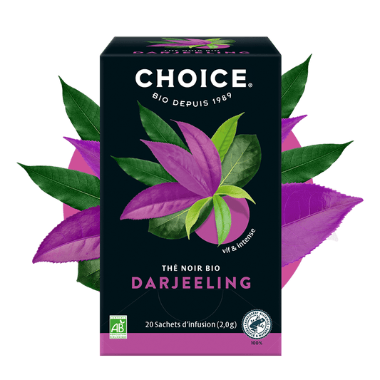 Choice -- Thé bio darjeeling - 20 sachets